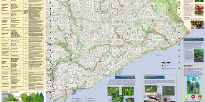 Карта на паркове и пешеходни маршрути в Източната част на Торонто