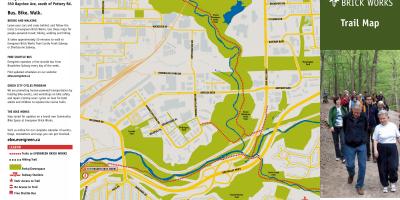 Карта вечнозелени тухлена Торонто отпечатък
