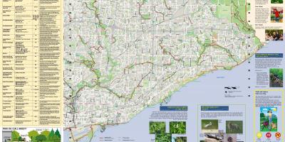Карта на паркове и пешеходни маршрути в Източната част на Торонто