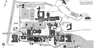 Карта науки център за здраве Саннибрук сайт shsc